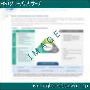 グローバルリサーチ調査レポートのイメージ